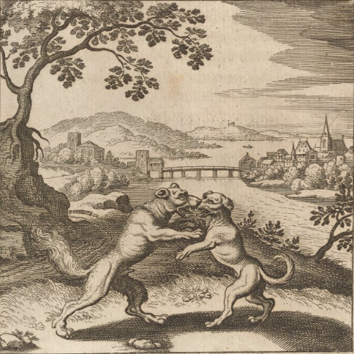 A drawing of two dogs fighting
