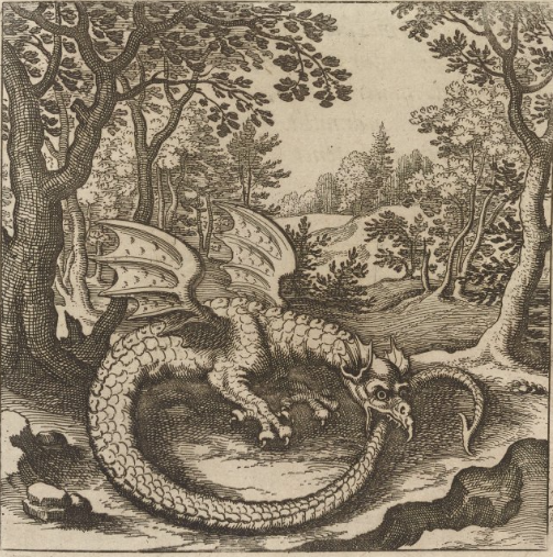 A dragon with wings and wings