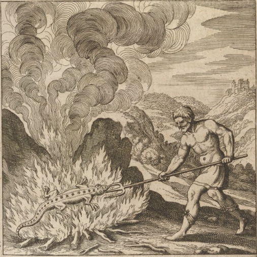 A person holding a stick and burning a lizard