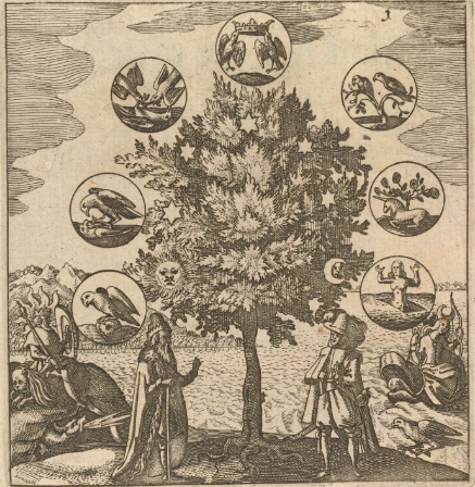 A drawing of a tree with circles around it, and symbols within them